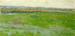Buy paintings. Green field, Belanovitch Vladimir. Landscape. Oil painting